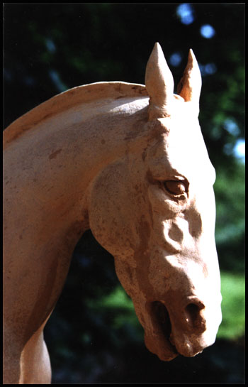 cheval, bauche d'Alexandre houllier
