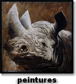 les peintures d'Alexandre Houllier - rhinoceros